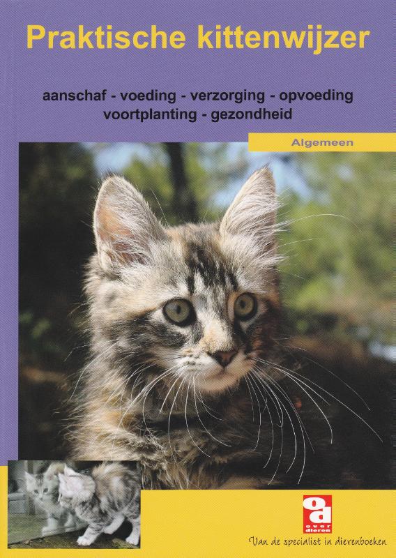Omslag van Praktische kittenwijzer