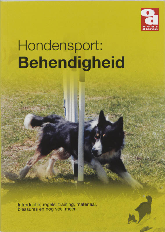 Omslag van Behendigheid
