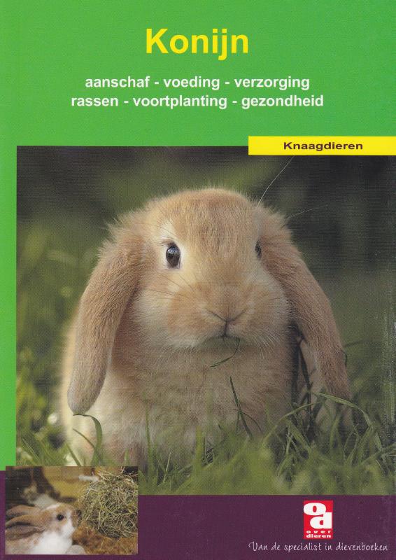 Omslag van Het konijn
