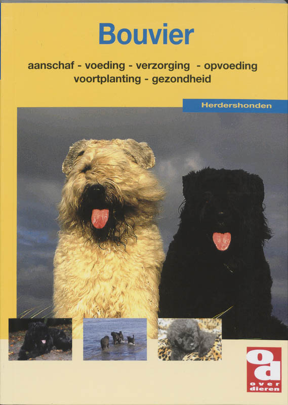 Omslag van Bouvier