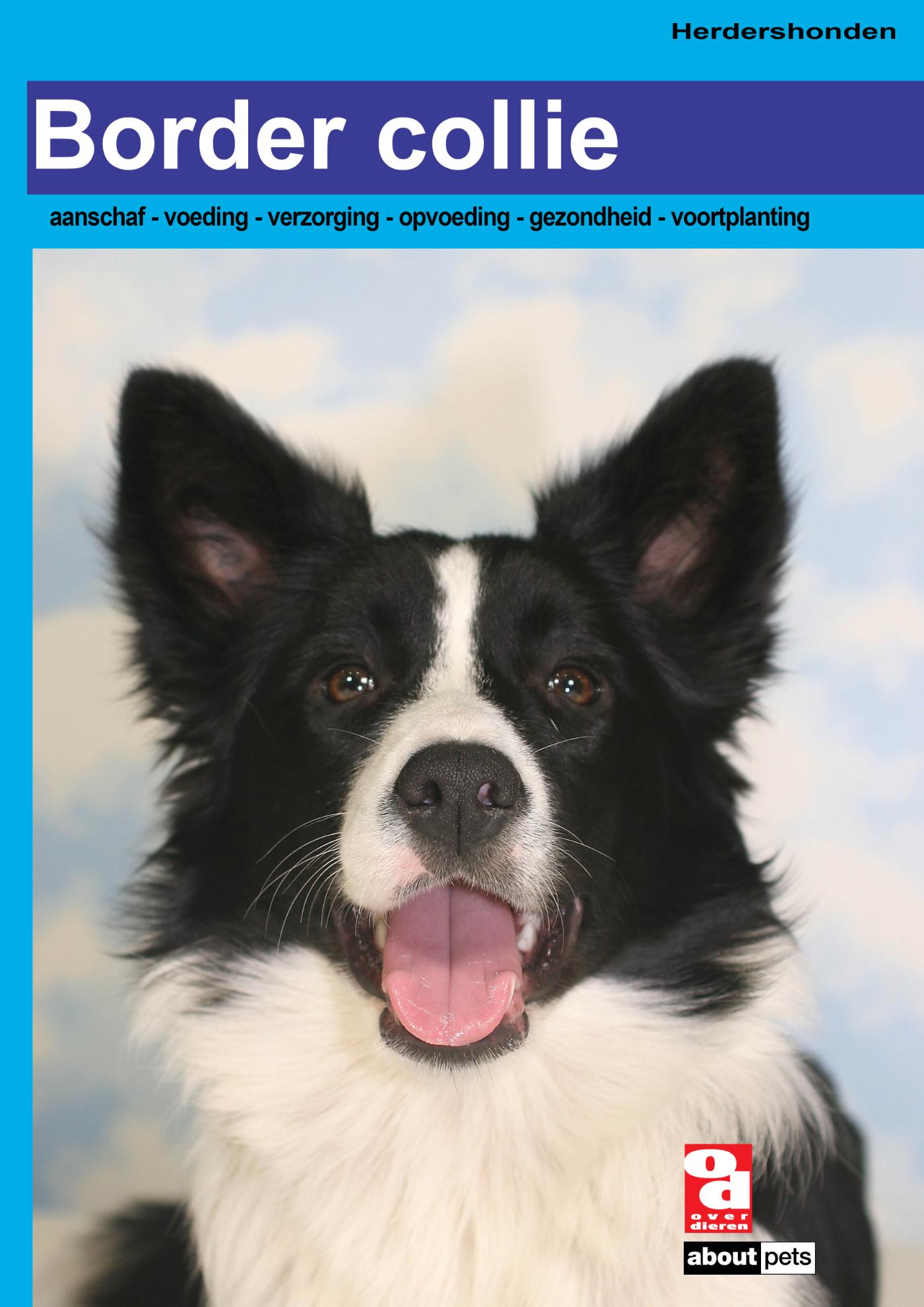 Omslag van Border Collie