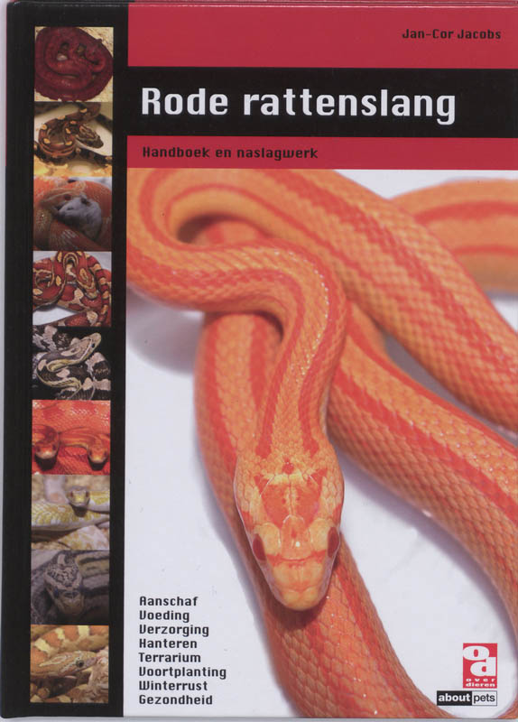 Omslag van Rode rattenslang