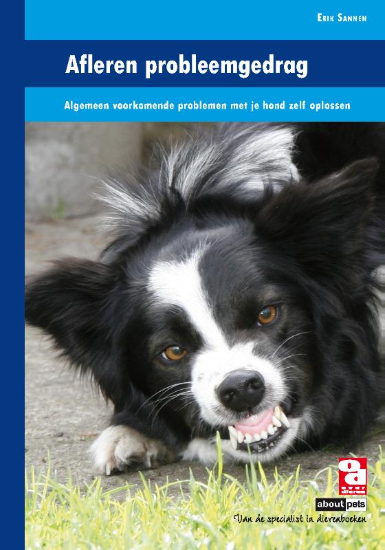 Omslag van Afleren probleemgedrag