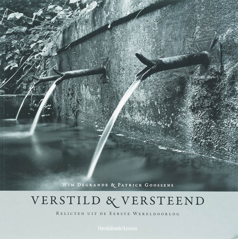 Omslag van Verstild en versteend = Weathered witness