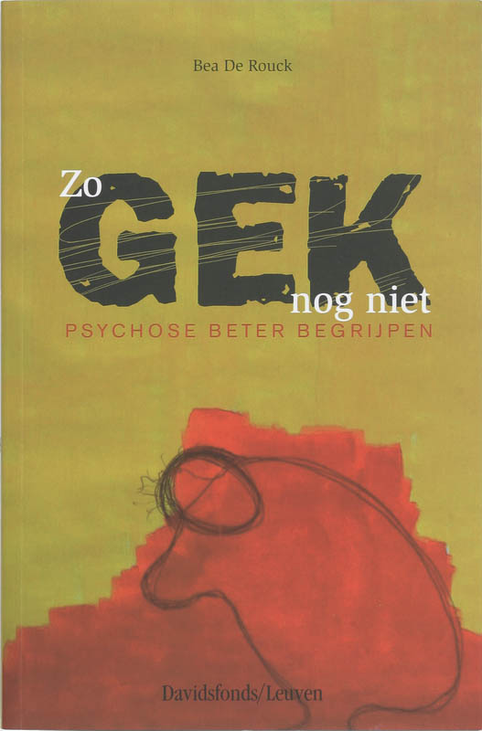 Omslag van Zo gek nog niet
