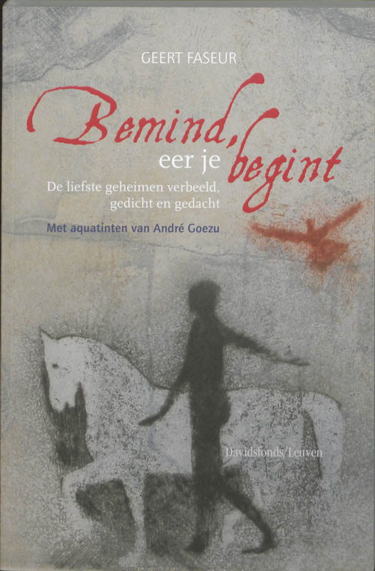 Omslag van Bemind, eer je begint