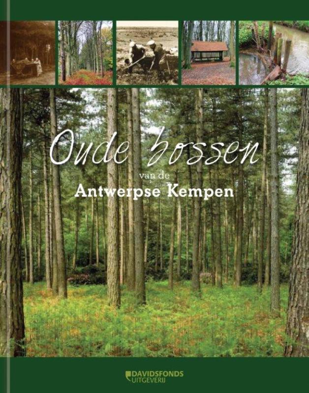 Omslag van Oude bossen van de Antwerpse Kempen