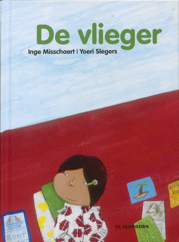 Omslag van De vlieger