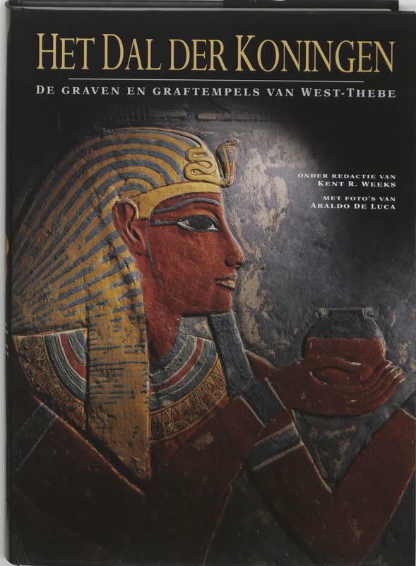 Omslag van Dal der koningen