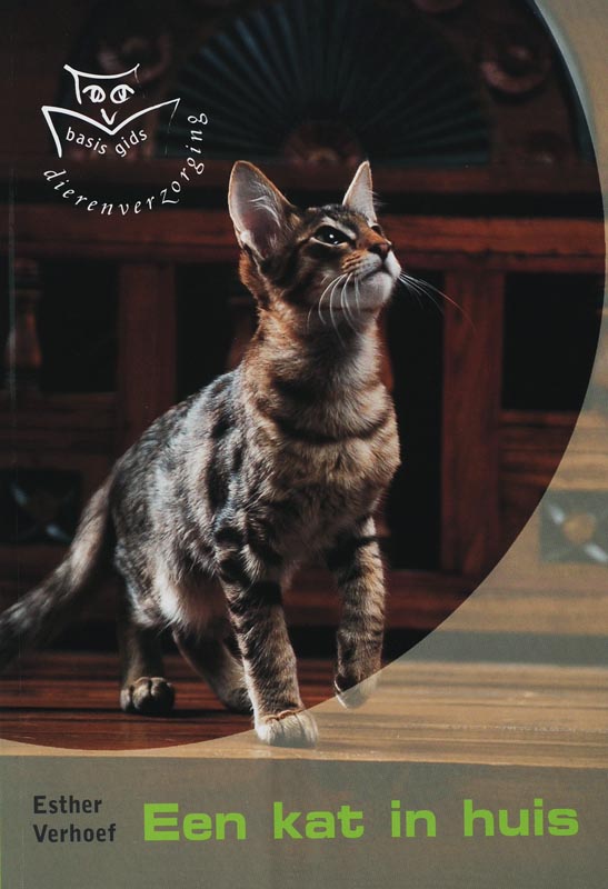 Omslag van Een kat in huis