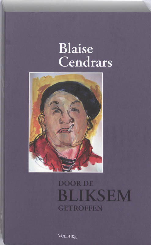 Omslag van Door de bliksem getroffen