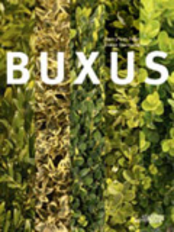 Omslag van Buxasea