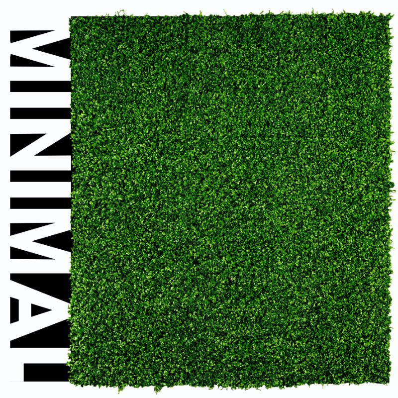 Omslag van Minimalistic gardens