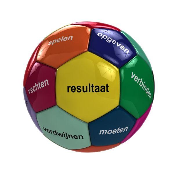 Omslag van De keuzeknikker