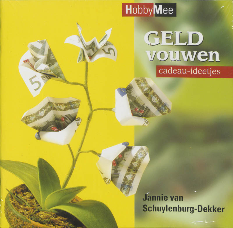 Omslag van Geld vouwen cadeau-ideetjes set 2 ex