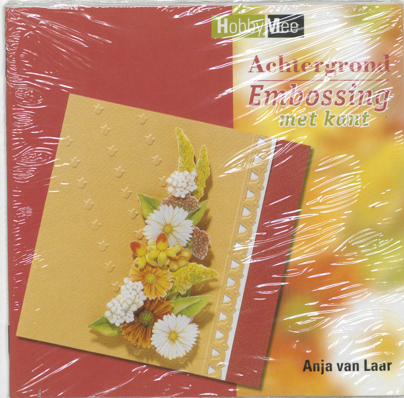 Omslag van Achtergrondembossing met kant set 2 ex