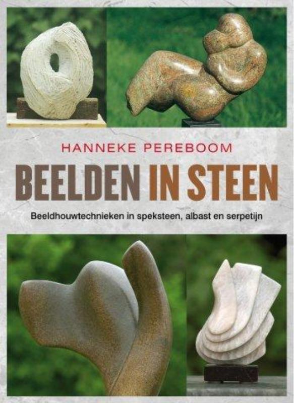Omslag van Beelden in steen