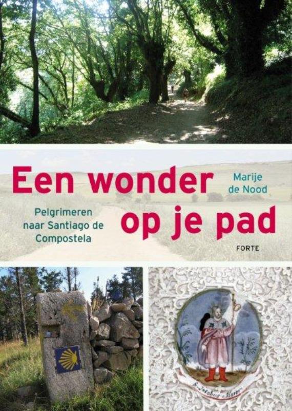 Omslag van Een wonder op je pad