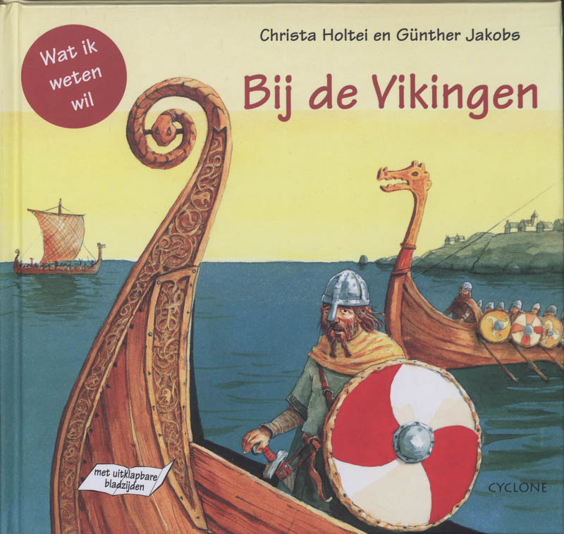 Omslag van Bij de vikingen