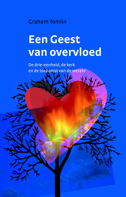 Omslag van Een geest van overvloed