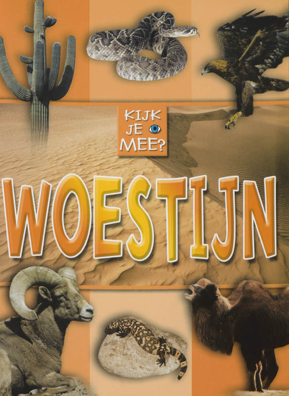 Omslag van Woestijn