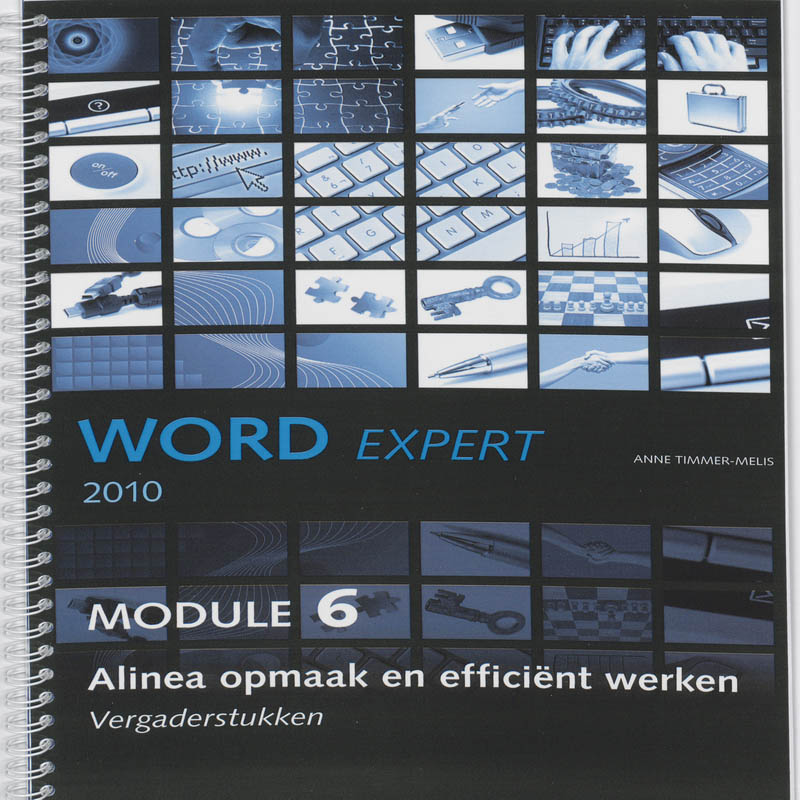 Omslag van Alinea opmaak en efficient werken Module 6