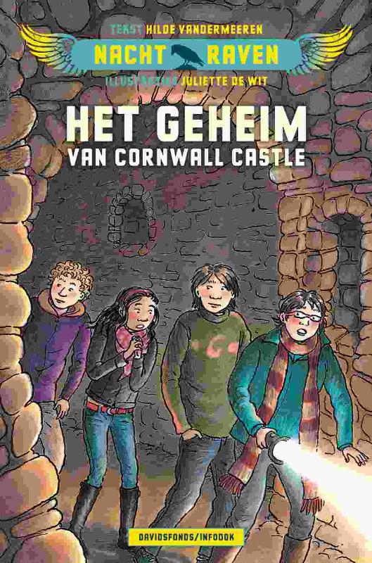 Omslag van Het geheim van Cornwall Castle