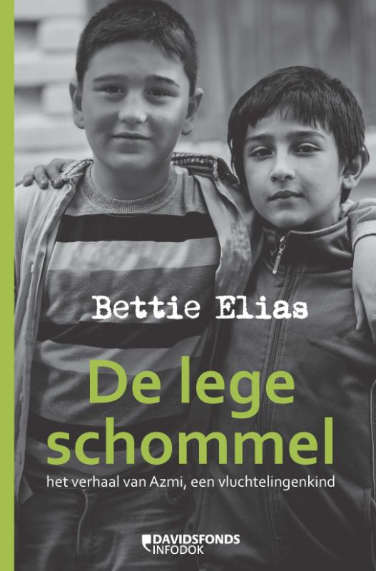 Omslag van De lege schommel