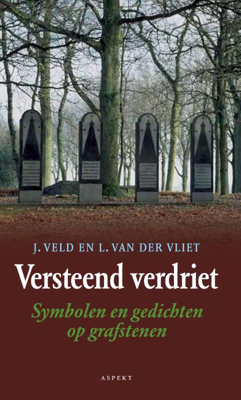 Omslag van Versteend verdriet