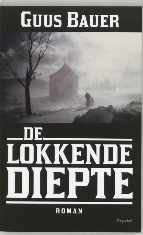 Omslag van De lokkende diepte