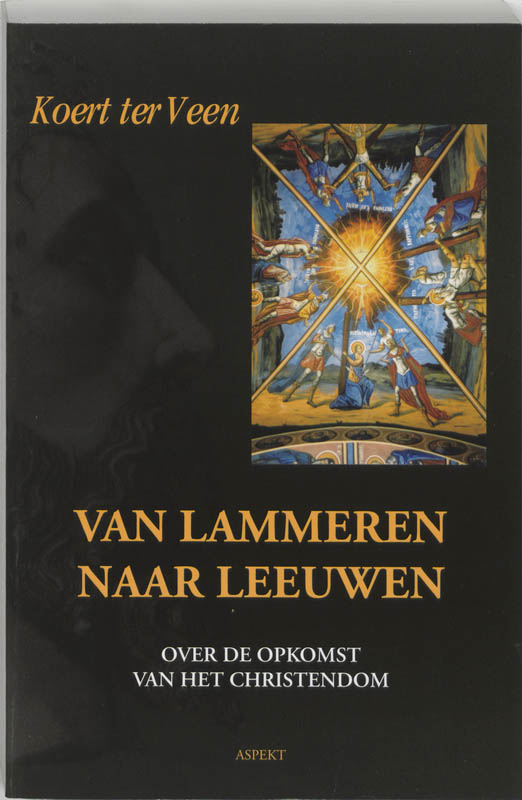 Omslag van Van lammeren naar leeuwen