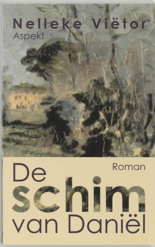 Omslag van De schim van Daniel