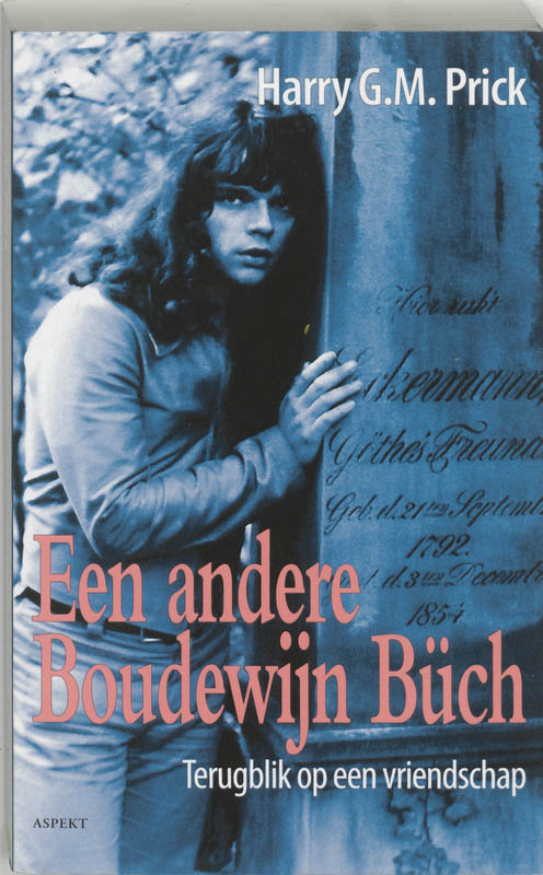 Omslag van Een andere Boudewijn Buch