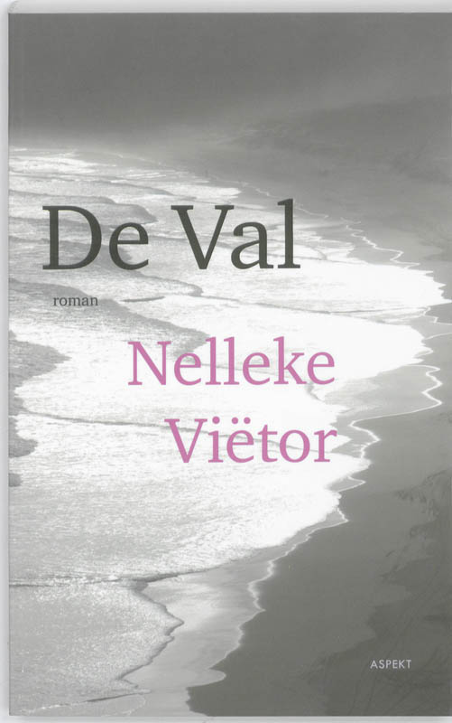 Omslag van De val