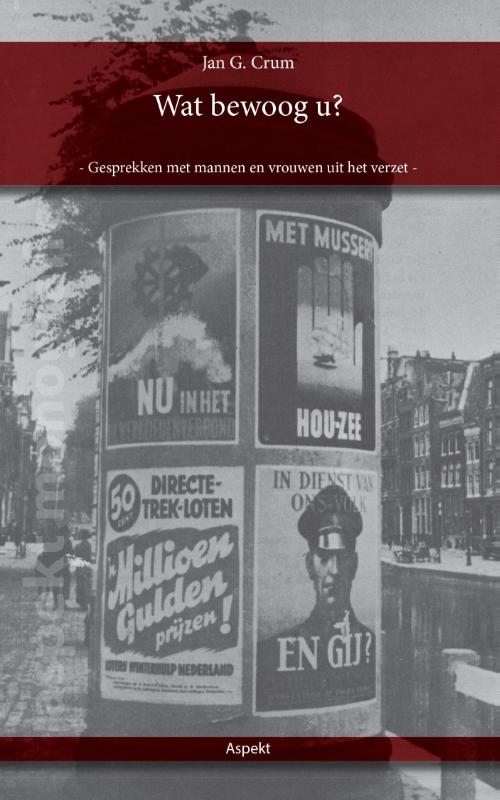Omslag van Wat bewoog u?