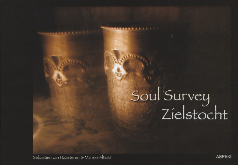 Omslag van Zielstocht Soul Survey