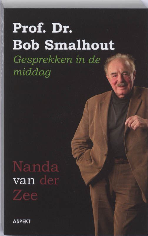Omslag van Gesprekken in de middag