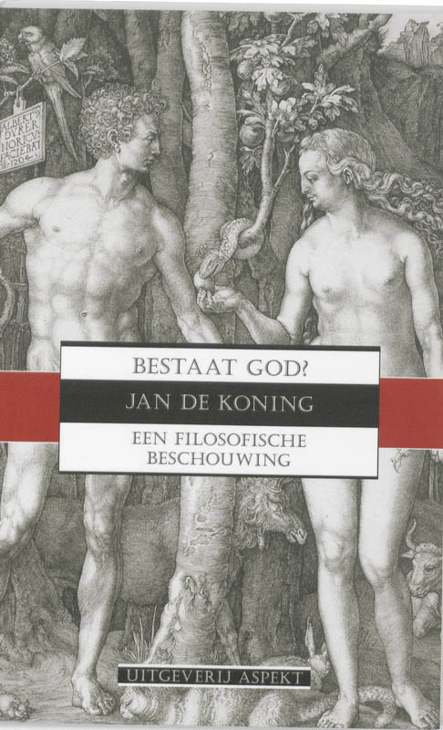 Omslag van Bestaat God