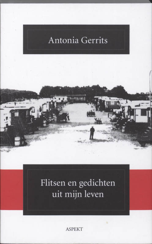 Omslag van Flitsen en gedichten uit mijn leven