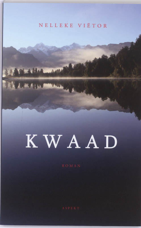Omslag van Kwaad