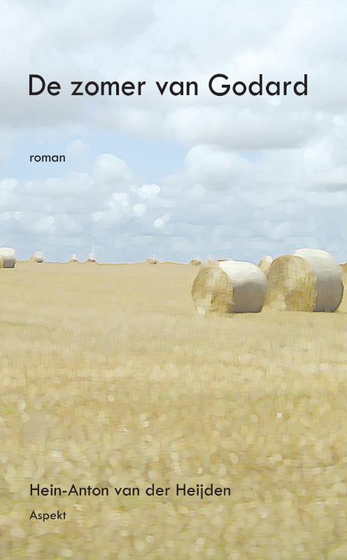 Omslag van De zomer van Godard