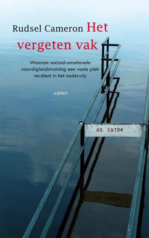 Omslag van Het vergeten vak