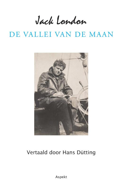 Omslag van De vallei van de maan