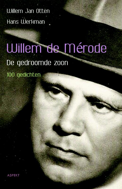 Omslag van De gedroomde zoon