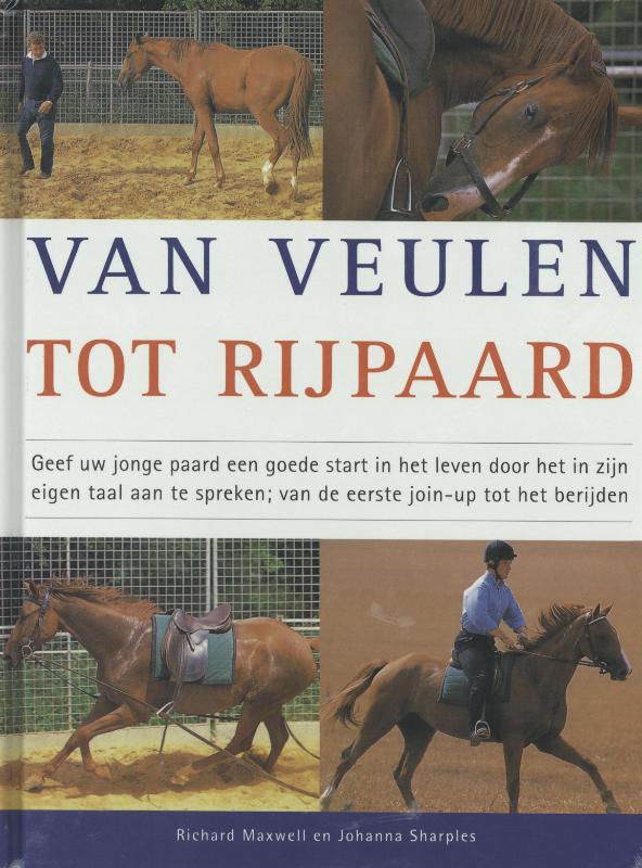 Omslag van Van veulen tot rijpaard