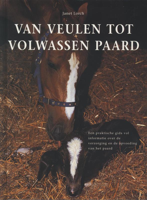 Omslag van Van veulen tot volwassen paard