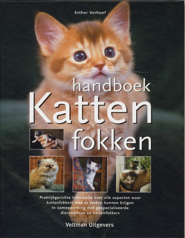 Omslag van Handboek katten fokken