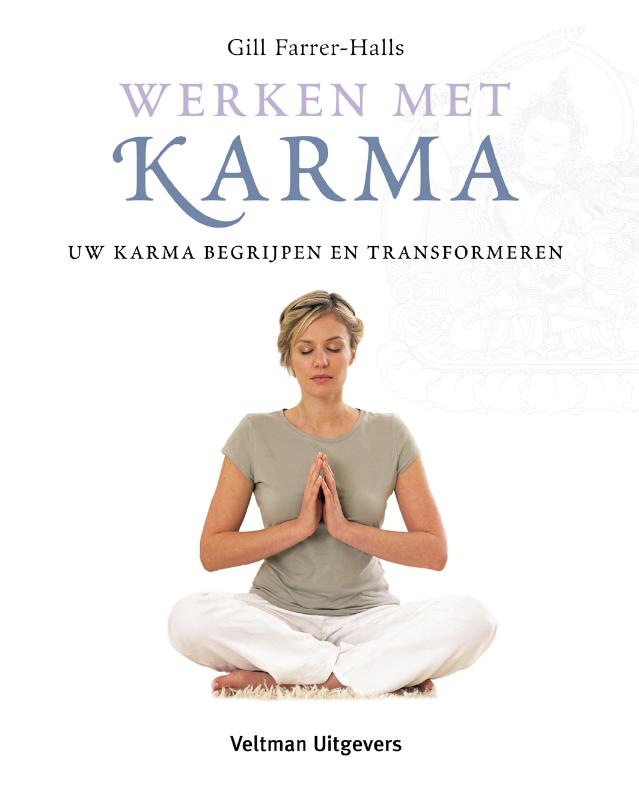 Omslag van Werken met karma