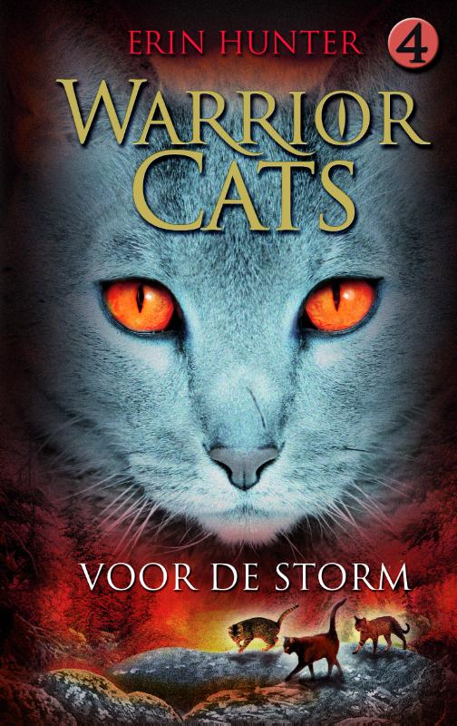 Omslag van Voor de storm