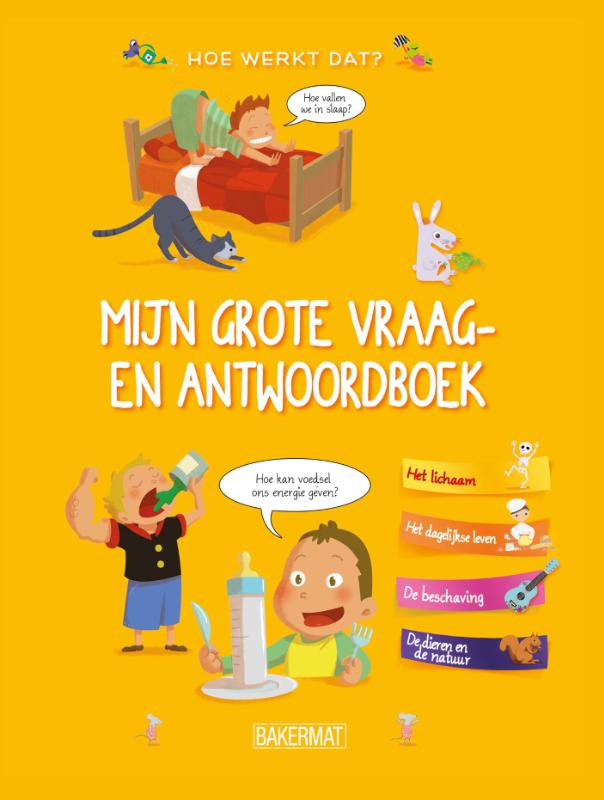 Omslag van Hoe maak je dat?